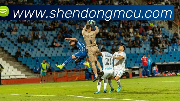 多媒体互动体验