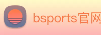 bsports官网 Logo